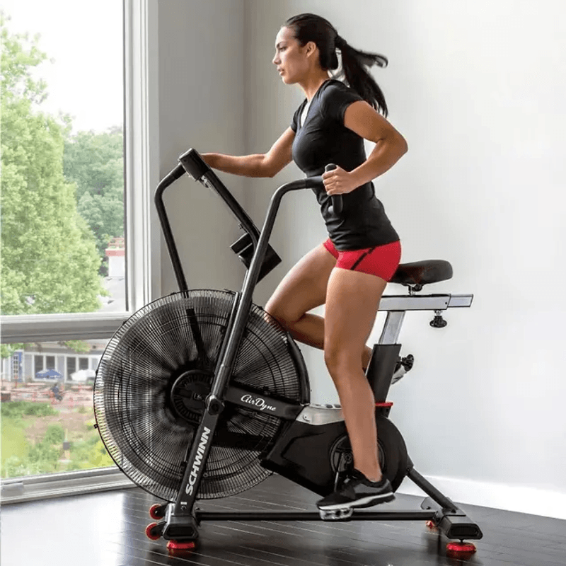 Schwinn Airdyne AD8