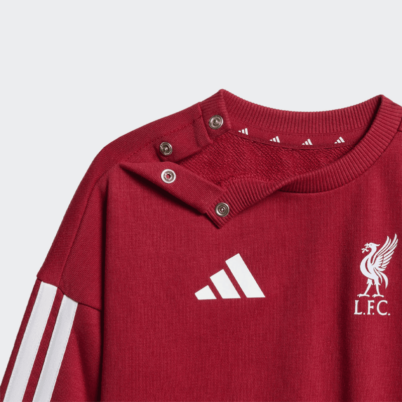 LFC DNA BBJ