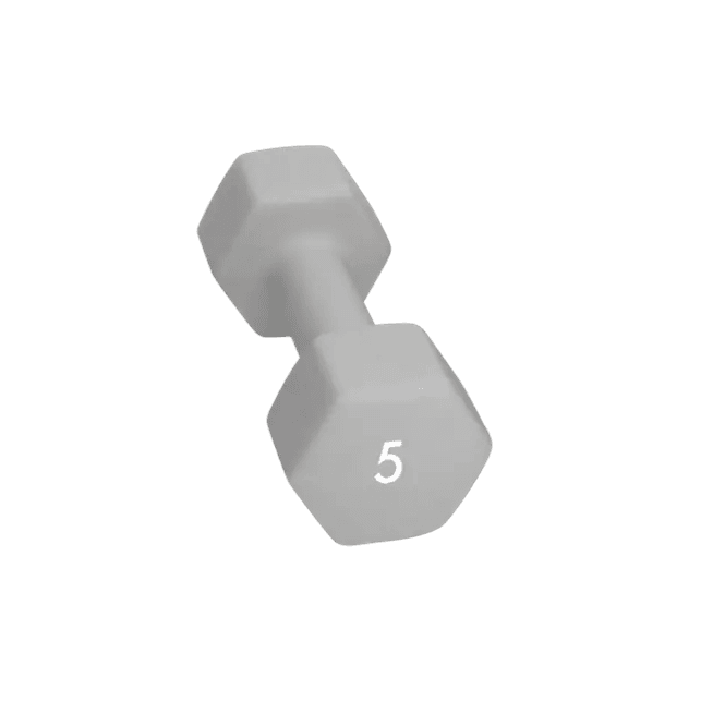 Hovedbilde DumbBell 5 kg